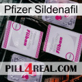 Pfizer Sildenafil 33